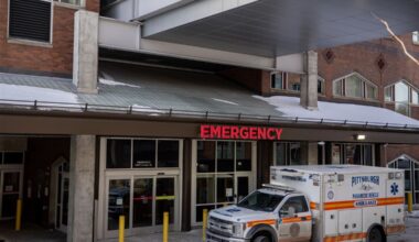 ‘Life-threatening withdrawal’: Effects of the powerful sedative medetomidine continue to hit local hospitals