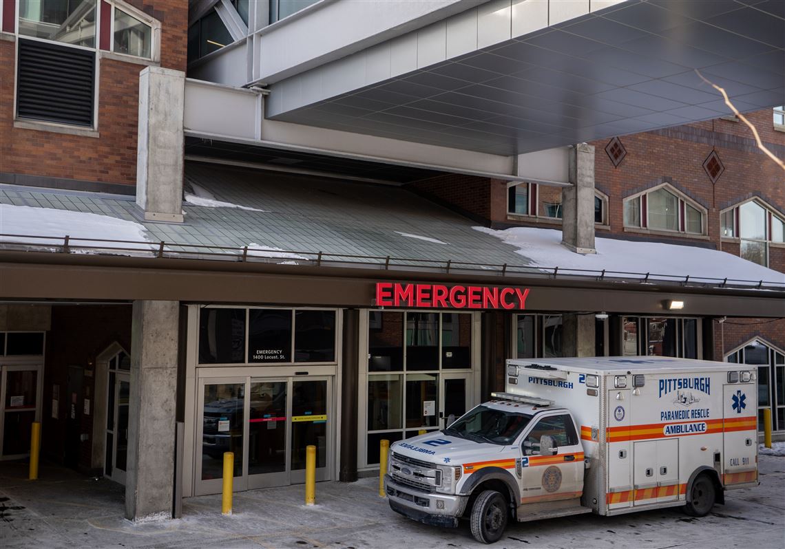 ‘Life-threatening withdrawal’: Effects of the powerful sedative medetomidine continue to hit local hospitals