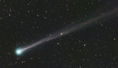 SunLive - Comet to delight stargazers, if it survives sun