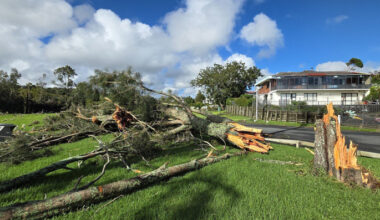 SunLive - What are tornadoes and why Tauranga was hit hard?