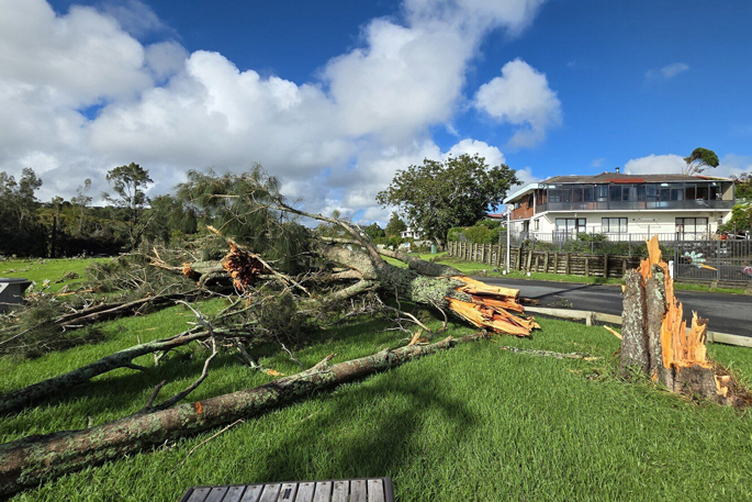 SunLive - What are tornadoes and why Tauranga was hit hard?