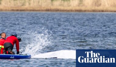 Final steps taken before audacious plan to tow whale stranded in Germany to North Sea | Germany