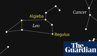 Starwatch: Leo the lion dominates the northern hemisphere | Astronomy