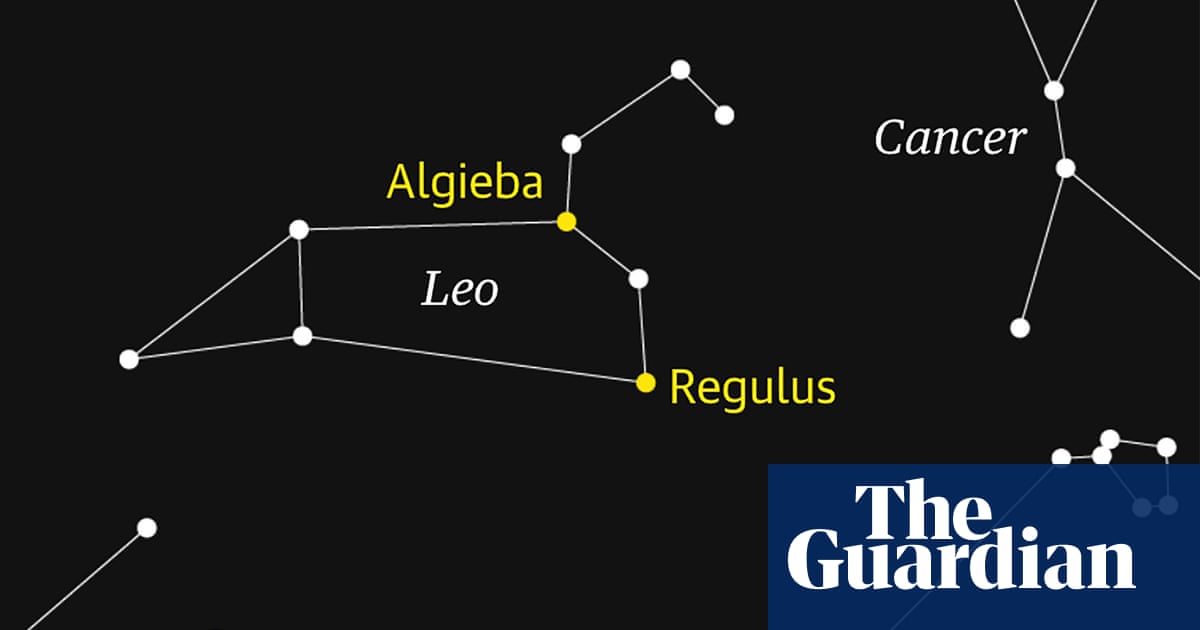 Starwatch: Leo the lion dominates the northern hemisphere | Astronomy