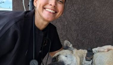 The Holistic Vet — more than medicine