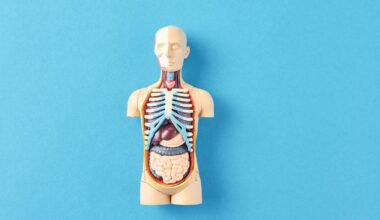 Herald morning quiz: April 4 - New Zealand News