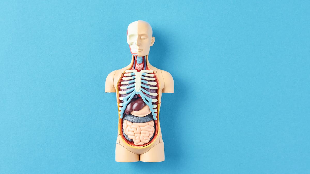 Herald morning quiz: April 4 - New Zealand News