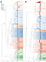 Temporal evolution of the large and small segments of Lassa virus from study of genomic surveillance of Lassa virus through in-country sequencing, Guinea. Time-scaled maximum clade credibility trees are shown for the large (A) and small (B) segments. Tips are colored by country of origin. Sublineages are annotated and colored by their predominant geographic location (e.g., Kenema, Faranah, Ganta). Clades that fall outside the sequence diversity of interest (i.e., clades that have no association with the sequences reported in this article) are collapsed and annotated with the total number of sequences they include. Gray dots indicate internal nodes with a clade credibility of >80%. Sequences reported in this manuscript have their sample identification codes indicated next to their respective tip. We detected 2 cocirculating sublineages of Lassa virus in N’Zérékoré: a locally established IVb lineage (M00539, M00541, G0405, G0870, G0934), and the IVa lineage linked to the region of Ganta in Liberia (M00363, M00542, M00364, G0274). The sample from Guéckédou (G0959) grouped within the Kenema, Sierra Leone, Lassa virus cluster, reflecting its travel-linked origin. Strains that form the nosocomial transmission chain with reassorted genomes have been highlighted in bold and are indicated with a star.