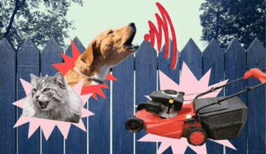 A catalogue of common neighbourhood gripes – and how to deal with them