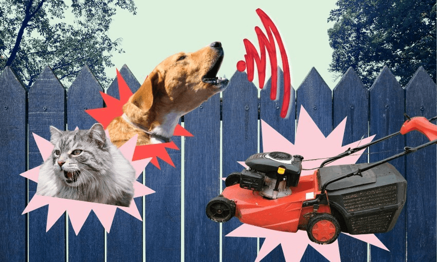 A catalogue of common neighbourhood gripes – and how to deal with them