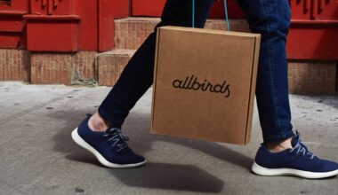 Allbirds, once a buzzy shoe startup, pivots to AI