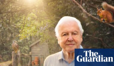 TV tonight: David Attenborough’s sparkling new series before he turns 100 | Television & radio