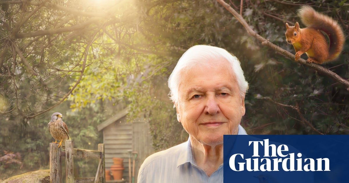 TV tonight: David Attenborough’s sparkling new series before he turns 100 | Television & radio