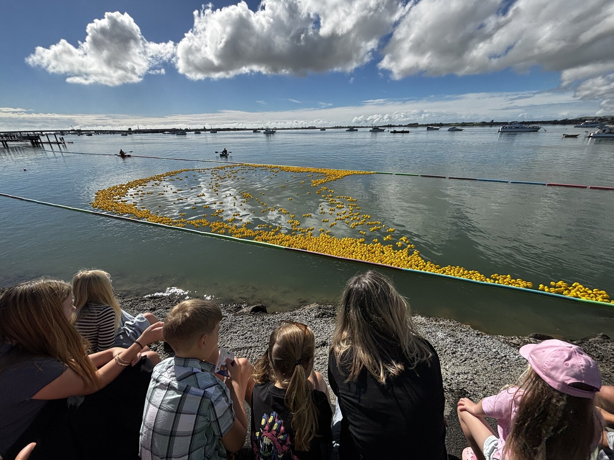  A large crowd watched from the Tauranga waterfront as 5000 numbered yellow ducks competed in the Great Tauranga Duck Race on Sunday. Photo / Supplied