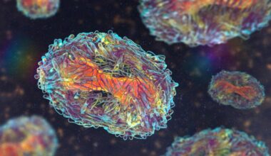 Singapore confirms first locally transmitted mpox cases, but says risk to public low