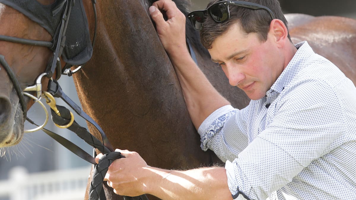 NZ racing’s rising star Cody Cole set to appeal 1-year training disqualification