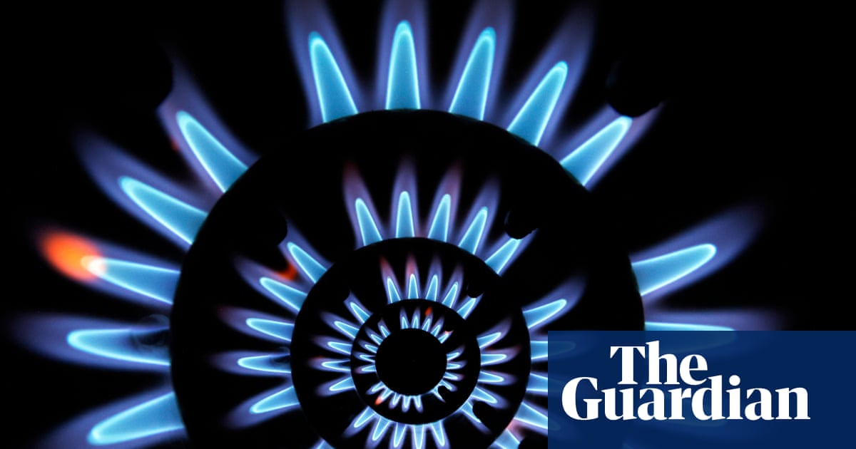 Britain should look to biomethane to expand gas supply | Gas