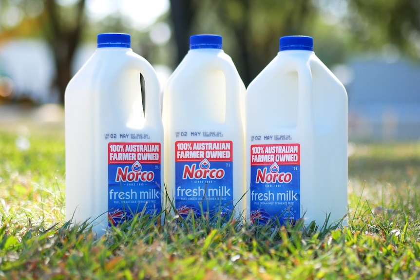 Three Norco milk bottles on grass, background blurred.