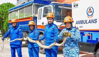Women step to the fore in snake rescues