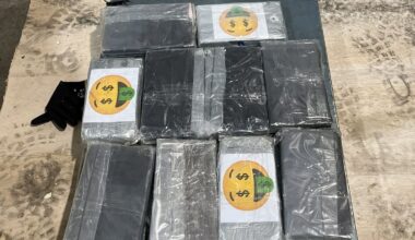 Port of Tauranga cocaine bust: Customs seizes 48kg in container roof