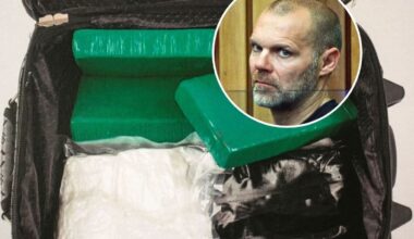 Operation Hercules: Final offender deported in $20m Tauranga cocaine bust