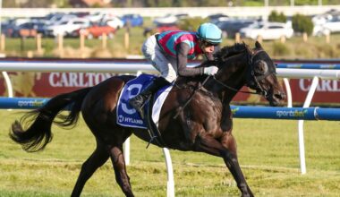 Karaka Ready To Run sale graduate retires after superb career