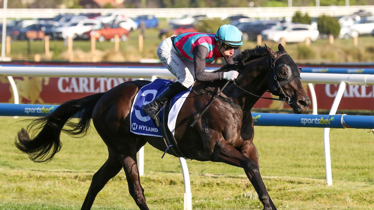 Karaka Ready To Run sale graduate retires after superb career