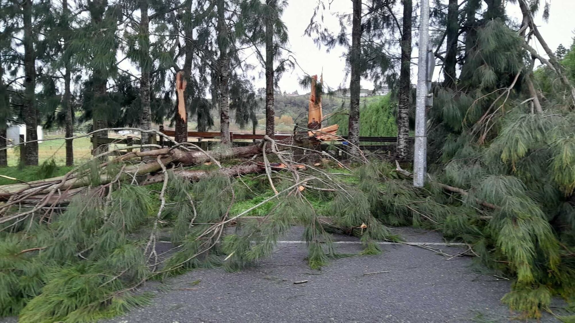  Damage from what residents have called a mini tornado in Tauranga. Photo / Supplied