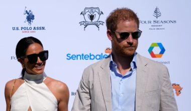 Prince Harry sued by Sentebale charity he founded over alleged reputational harm