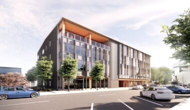 Hastings District Council staff to move into new mass-timber Tumu-owned office building