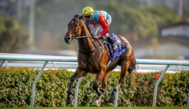 Mick On Monday: Dreary derby for Kiwis but some Easter bonuses today