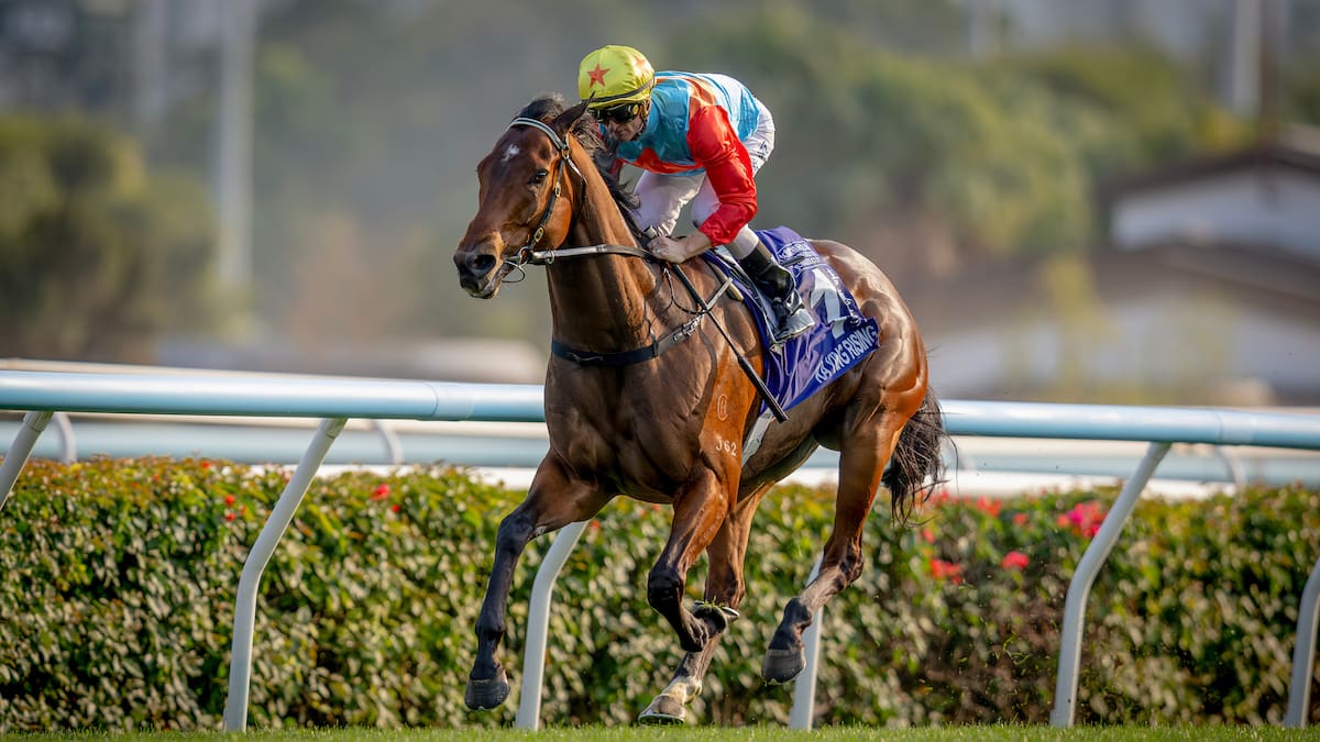 Mick On Monday: Dreary derby for Kiwis but some Easter bonuses today