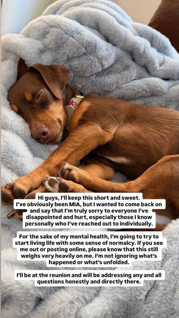 Amanda Batula's apology