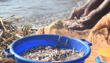 Kenyan women defy fishing taboos as climate change threatens Lake Victoria | Women News