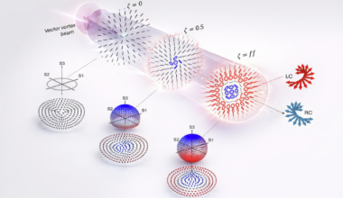 Topological control of chirality and spin with structured light