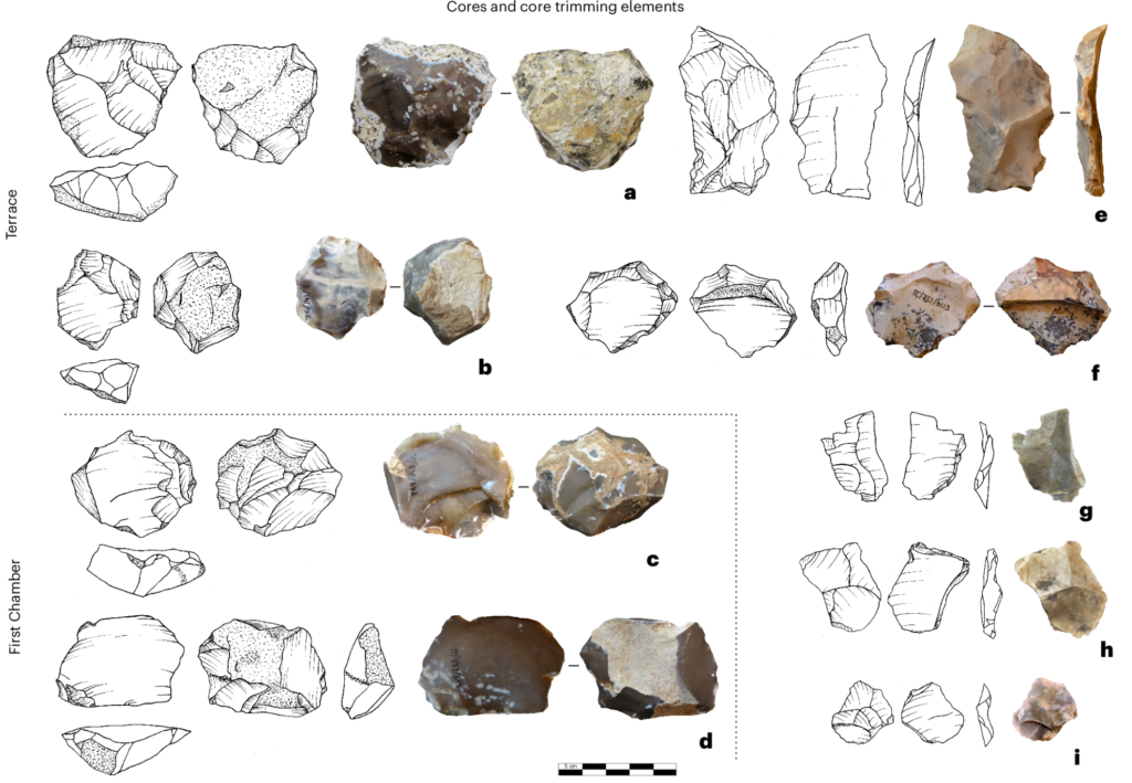 Images of varied stone tools found in the region showing shared culture between species