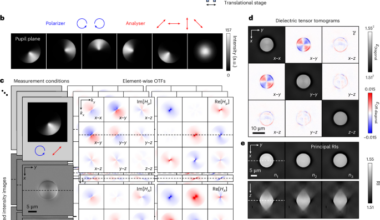 Incoherent dielectric tensor tomography for quantitative three-dimensional measurement of biaxial anisotropy