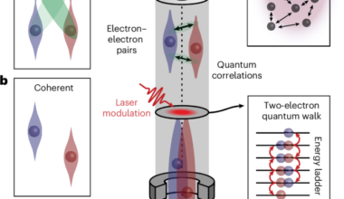 Two-electron quantum walks for probing entanglement and decoherence in an electron microscope