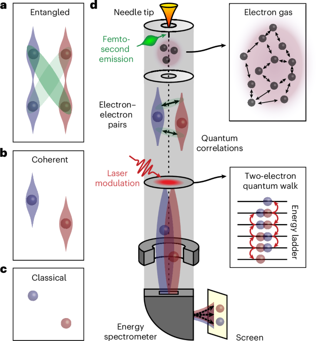 Two-electron quantum walks for probing entanglement and decoherence in an electron microscope