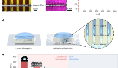 Capillary Leidenfrost effect | Nature Physics