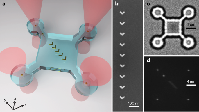 Transverse optical torque observed at the nanoscale