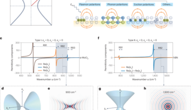 Transport of polaritons in hyperbolic media