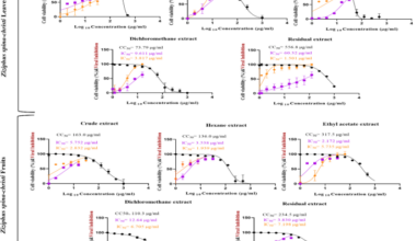 Antiviral activity and chemical characterization of Egyptian Ziziphus spina-christi against human respiratory viruses