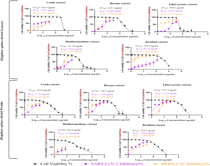 Antiviral activity and chemical characterization of Egyptian Ziziphus spina-christi against human respiratory viruses