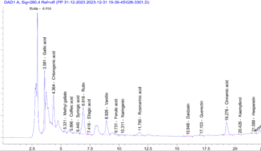 Antioxidant, antimicrobial, and apoptosis-related activities of Azadirachta indica (Neem) leaf extract in MCF-7 and A549 cell lines