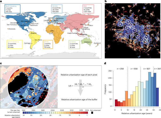 The linkage between microbial community dynamics and urbanization age