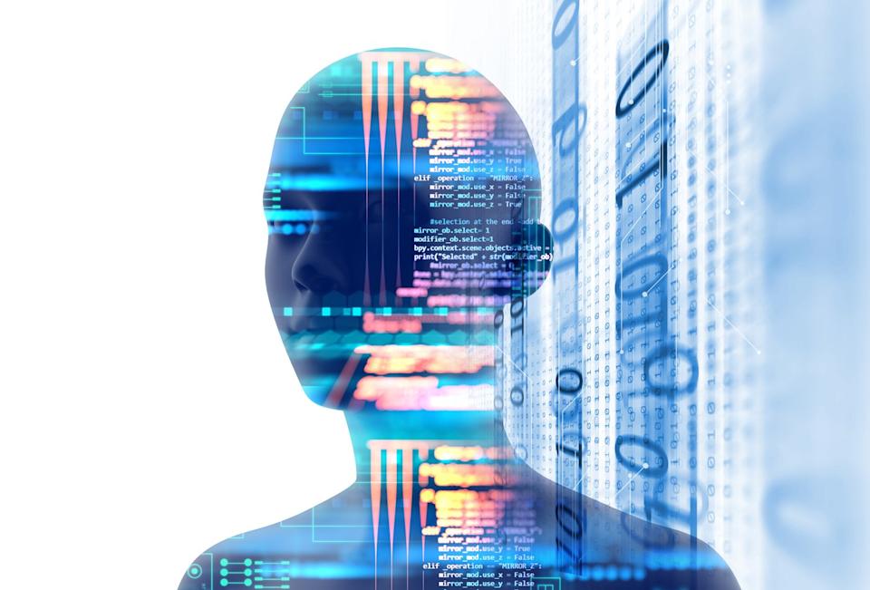 A face shadow with data projected on it.