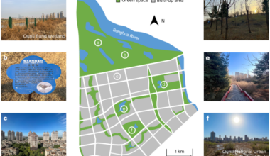Impacts of nature-inclusive urban development on well-being and fairness perceptions