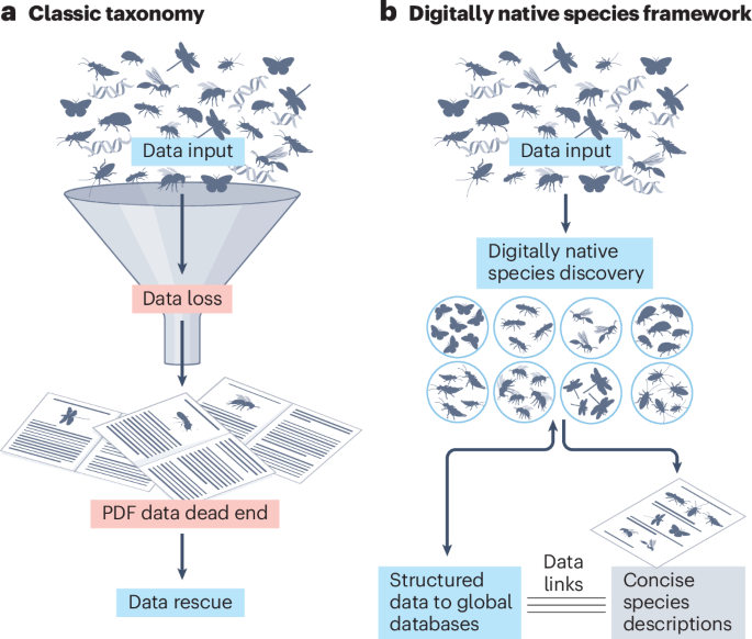 Digitally native species are a necessary shift in taxonomic practice