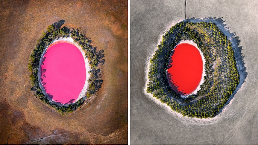 Composite: A pink lake surrounded by crop land. A red red lake framed by trees and pale farm land.